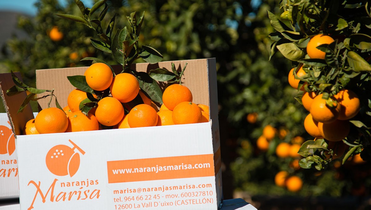 Consejos para elegir y almacenar naranjas.