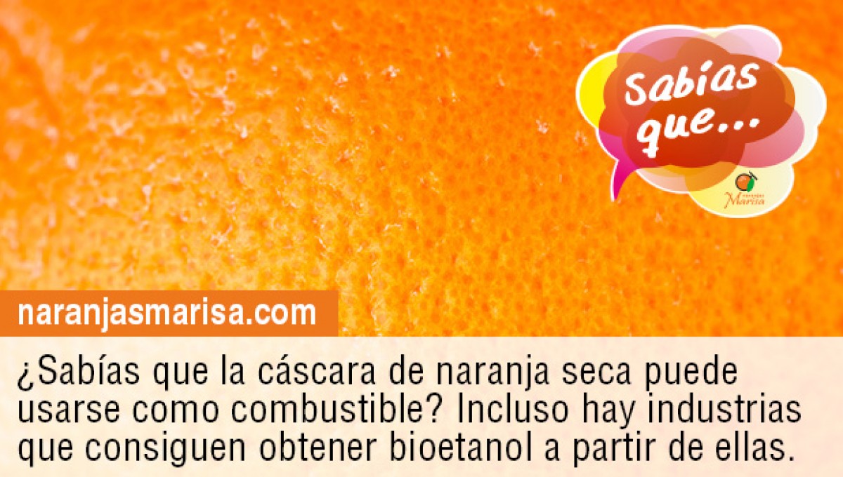 Las cáscaras de naranja secas podrían emplearse para producir bioetanol