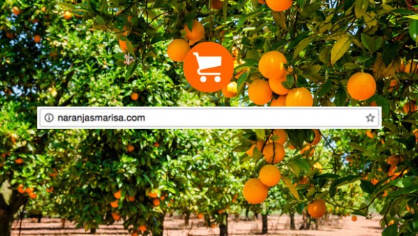 Porqué comprar naranjas por internet