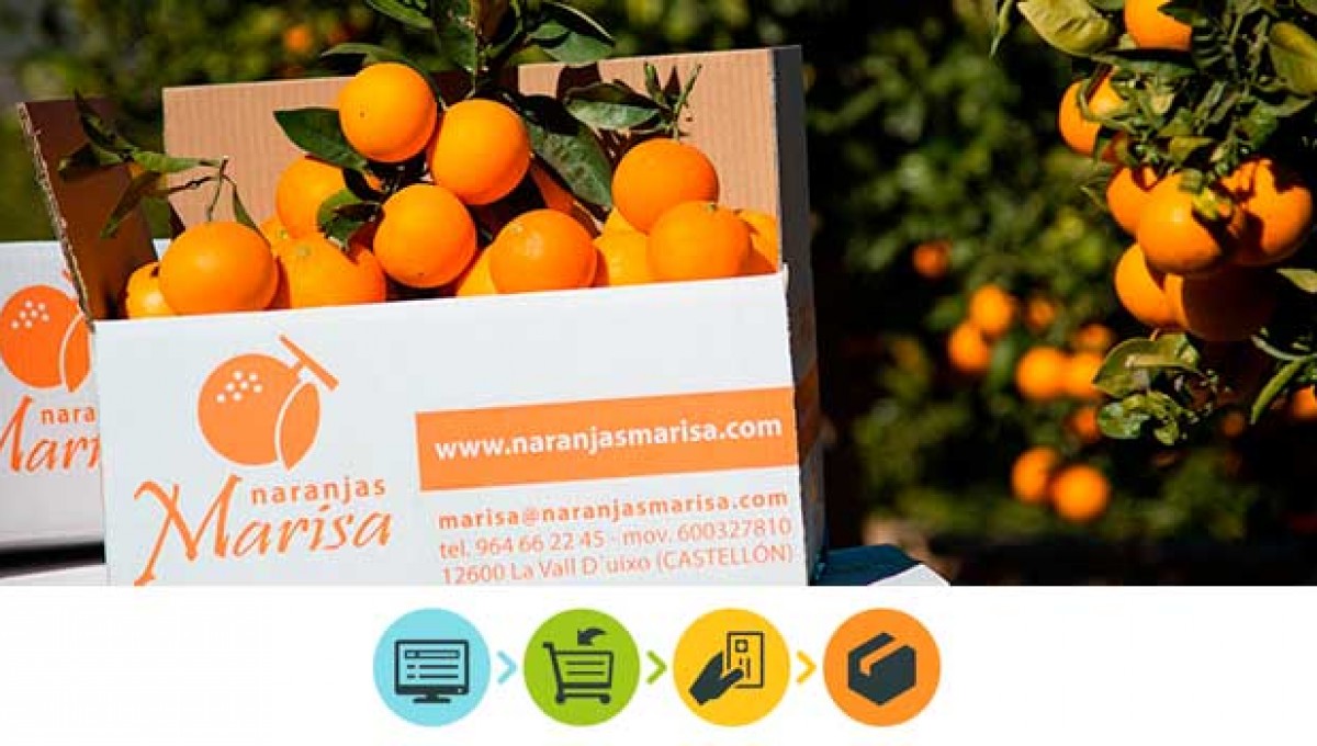 Comprar naranjas de valencia. Nuestra Tienda Online