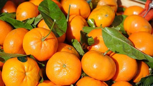 Cómo mantener frescas y jugosas las clementinas
